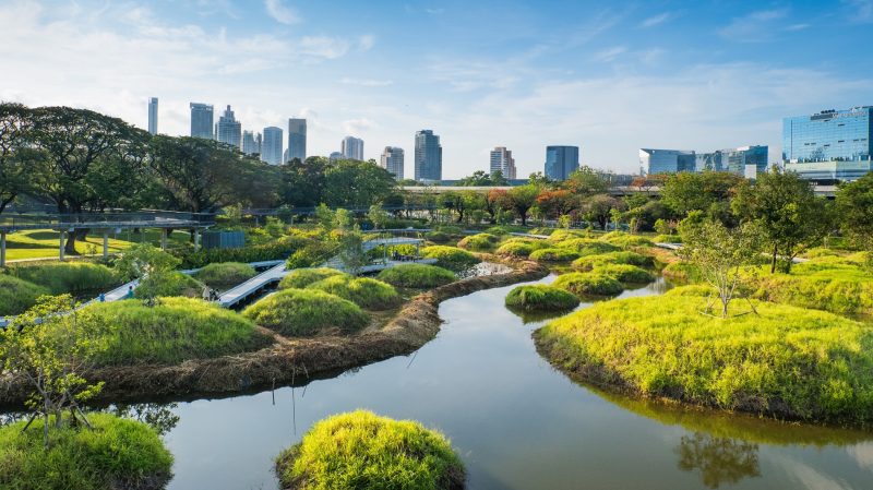 السياحة المستدامة: مبادرة جديدة في المملكة العربية السعودية