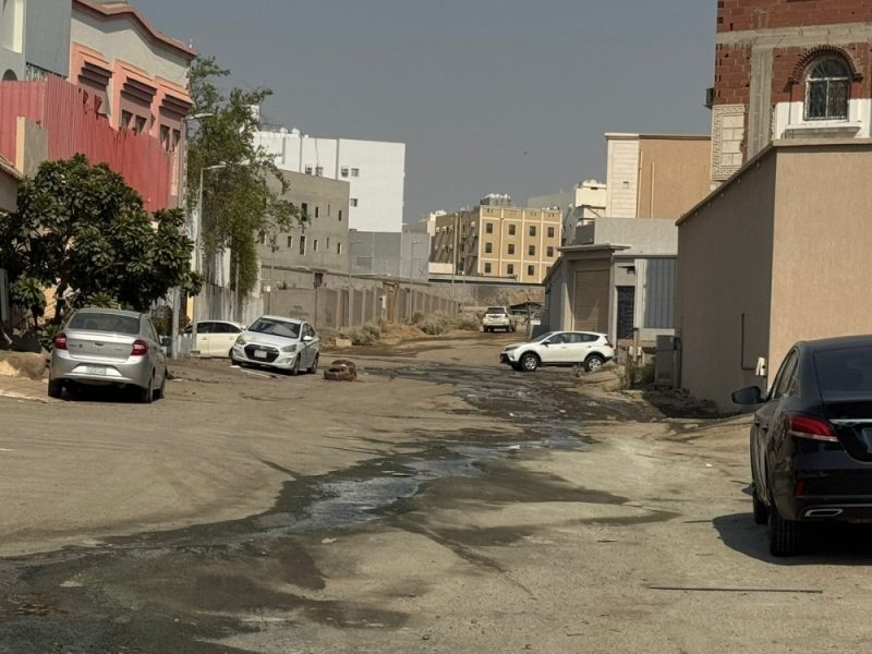 أزمة تجمعات المياه في جدة: قصة إهمال وتأثيرات بيئية خطيرة