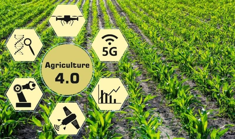 الزراعة الذكية: الطريق نحو تحقيق الاكتفاء الذاتي الغذائي
