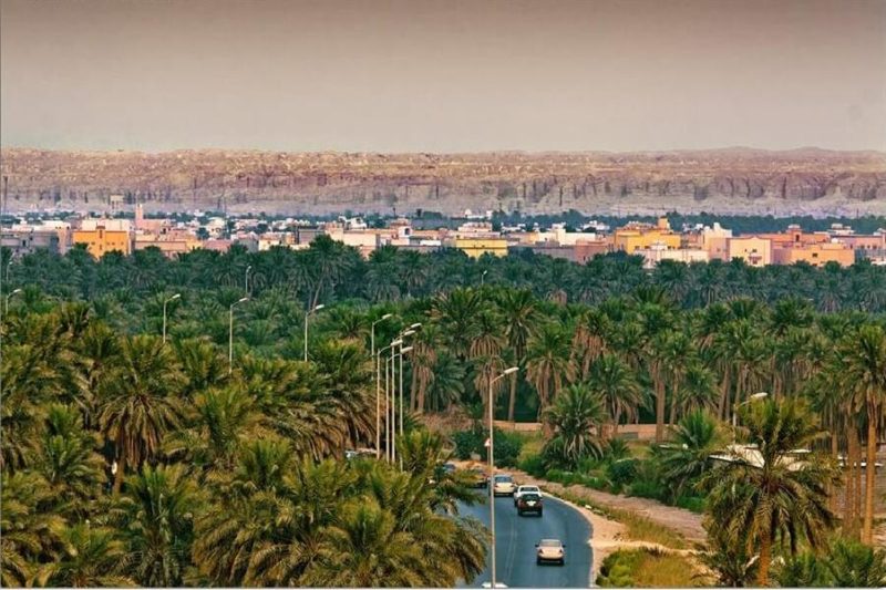 السياحة في الأحساء: ملاذ الهدوء والاسترخاء في قلب الصحراء