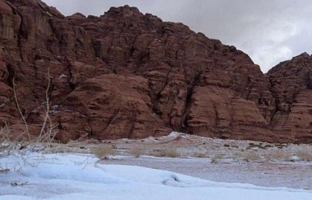 اكتشف التنوع البيولوجي في جبال الزيتة بتبوك