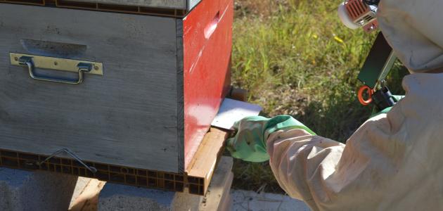 حمض النيتريك: حلول مبتكرة لتحقيق زراعة مستدامة