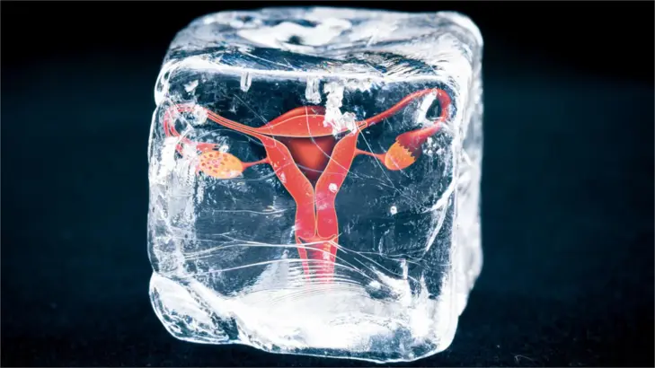 تجميد المبيض: كل ما تودين معرفته عن حفظ خصوبتك