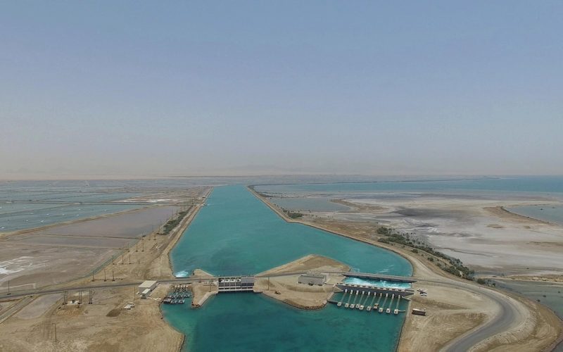 الأثر الاقتصادي لـ إنتاج الروبيان في السعودية: نظرة على الأرقام والإحصائيات