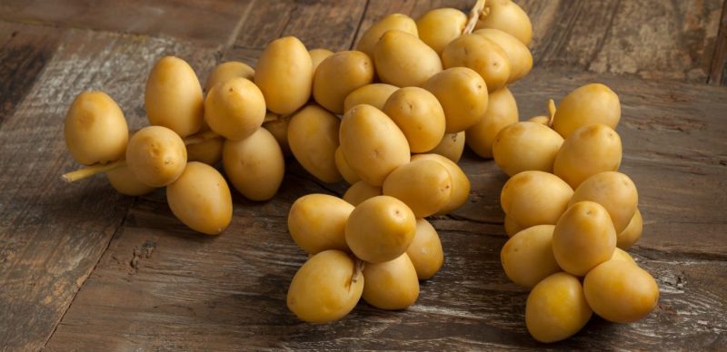 البلح الأصفر: مفتاحك للصحة الجنسية والإنجابية