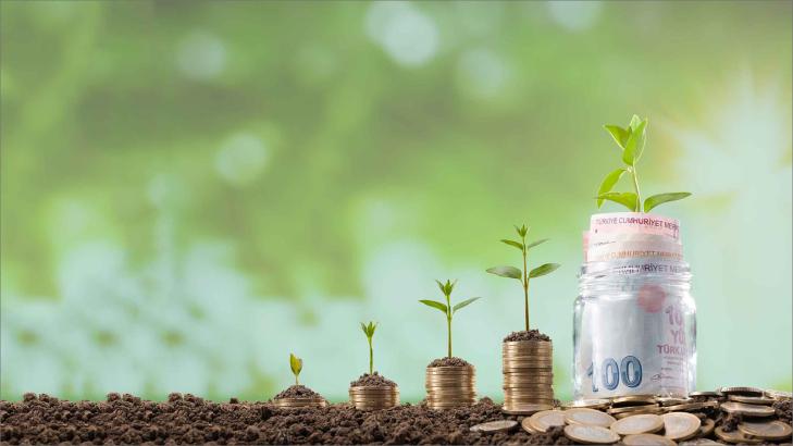 الزكاة في الإسلام والتكافل الاجتماعي: دور الزكاة في بناء مجتمع قوي