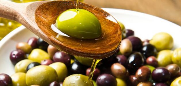 زراعة الزيتون: إرث وتراث في منطقة البحر الأبيض المتوسط