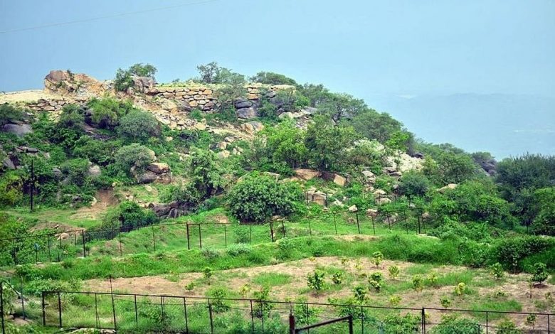 جبل سلا: دليل شامل لرحلتك القادمة إلى العارضة