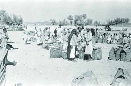 استكشاف بيشة: قلب التجارة والحج في العصور القديمة