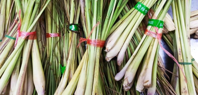 اكتشف قوة عشبة الأذخر: فوائد لا تصدق للجنس وصحة الجسم