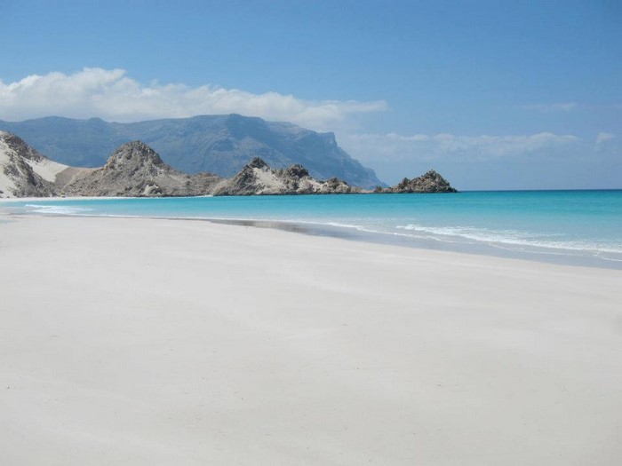 بوابة السعودية: منصة عالمية برؤية سعودية