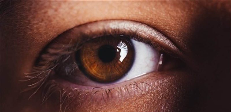 ابتكار في عالم التشخيص: أداة تشخيصية بالذكاء الاصطناعي