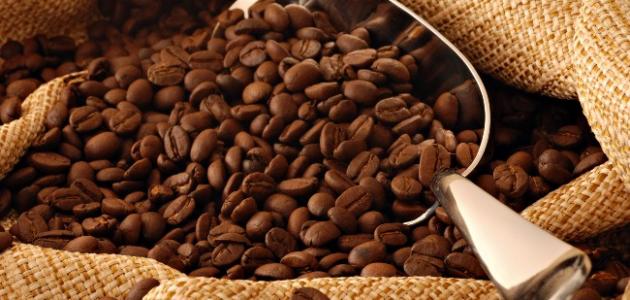مشاكل وحلول في زراعة البن: دليل المزارع