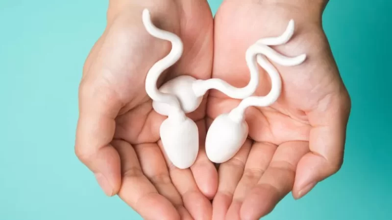 صحة الحيوانات المنوية: دليل الرجل الشامل