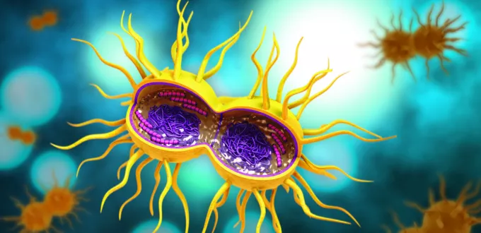 الأمراض المنقولة جنسياً: كيف تقلل من انتشارها وتأثيرها؟