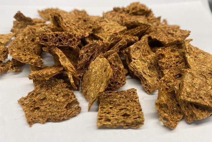 اكتشف قوة الإسفنجة الذكية في تنقية مياه البحيرات والأنهار