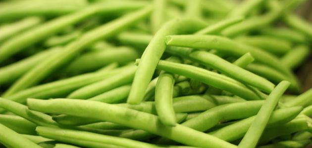 خطوات مبسطة لزراعة الفاصوليا في حديقتك الصغيرة