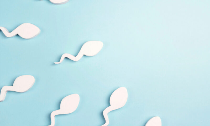 ضعف حركة الحيوان المنوي: حقيقة الأمل في تحقيق الحمل الطبيعي