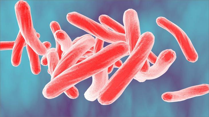 العيش مع مرض السل: فهم الحالة، العلاج، والعودة إلى الصحة
