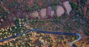 الريادة الرقمية: دور بوابة السعودية في المشهد الإعلامي العالمي