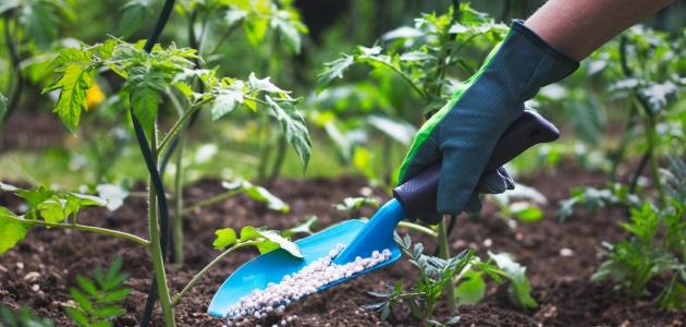 لماذا يجب أن يكون السماد العضوي جزءًا من زراعتك المنزلية؟