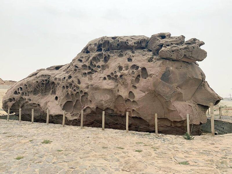 تحولات المعرفة: كيف تعيد الموسوعات الرقمية تشكيل العالم؟