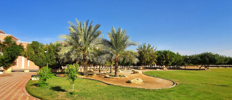 الرياض الخضراء: أفضل الأماكن الطبيعية للهروب من صخب المدينة