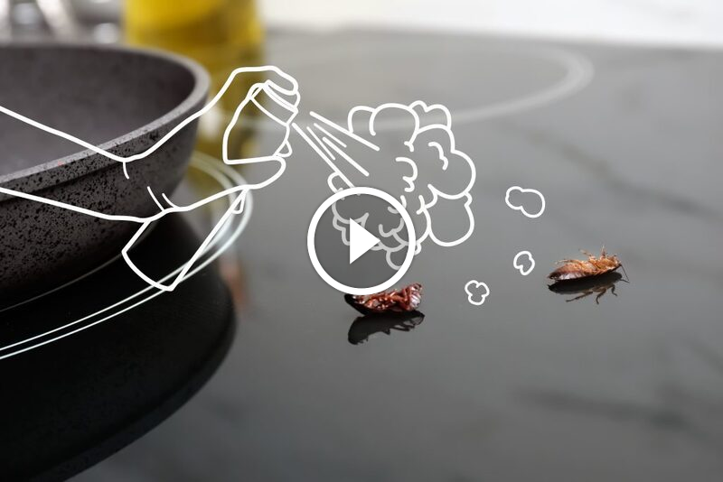 خطة شاملة للقضاء على صراصير المطبخ وحماية بيتك من الأضرار