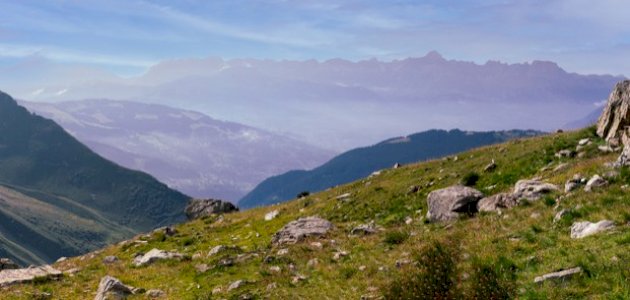 الحفاظ على العلاقة بين الغطاء النباتي والتضاريس: مستقبل الأرض