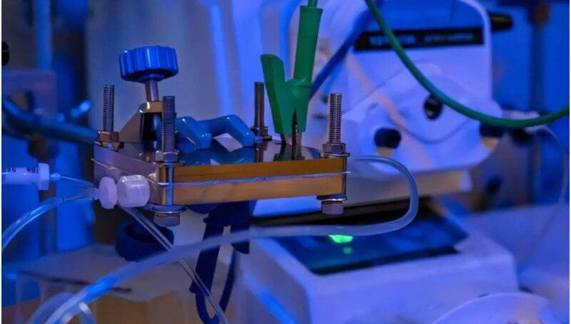 نحو اقتصاد دائري: الابتكار في إعادة تدوير بطاريات الليثيوم