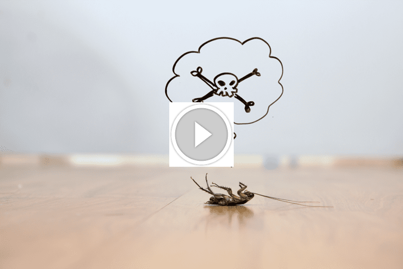 معيار الثقة الجديد: ضمان استرداد الأموال في مكافحة الآفات