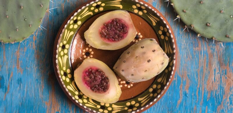 الفاكهة الخارقة: استعرض أبرز فوائد التين الشوكي لصحتك