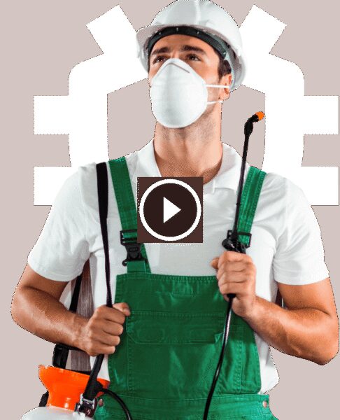 جودة لا تضاهى: خبرة مكافحة الآفات كشريكك الأمثل