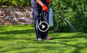 وداعًا للآفات: دليلك الكامل لـ مكافحة حشرات الحدائق بنجاح