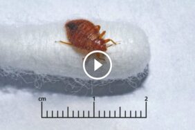 ارفع مستوى خدمتك بضمان استعادة الرسوم الكامل