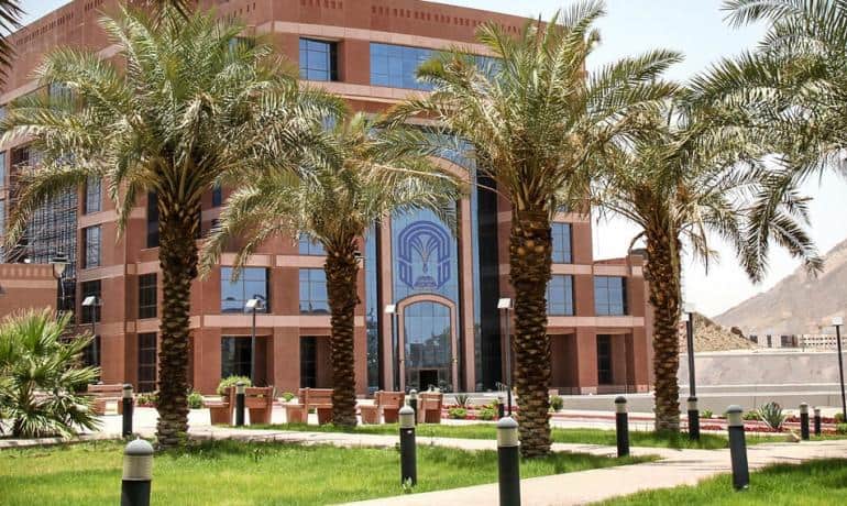 منارة الإبداع: جامعة طيبة وتفوقها في تسجيل براءة اختراع علمية