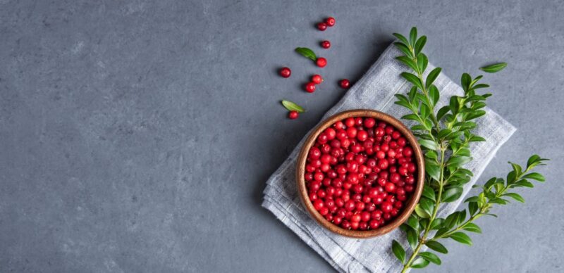 دليلك الكامل: استخدام التوت البري لدعم الصحة الجنسية والإنجابية