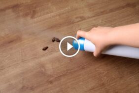 لماذا يجب أن تطلب ضمان مكافحة الآفات قبل التعاقد؟