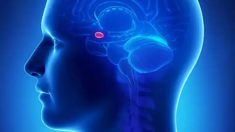 ثورة Nano-MIND: التحكم اللاسلكي بالخلايا العصبية بدون جراحة