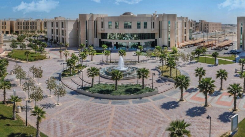 نحو مجتمع دامج: الذكاء الاصطناعي لذوي الإعاقة كبوابة للفرص