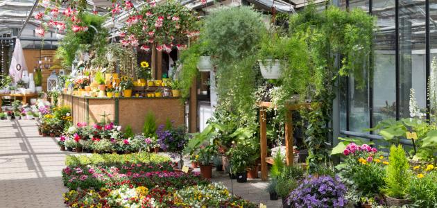 كيف تختار أفضل طرق الزراعة لمزرعتك؟