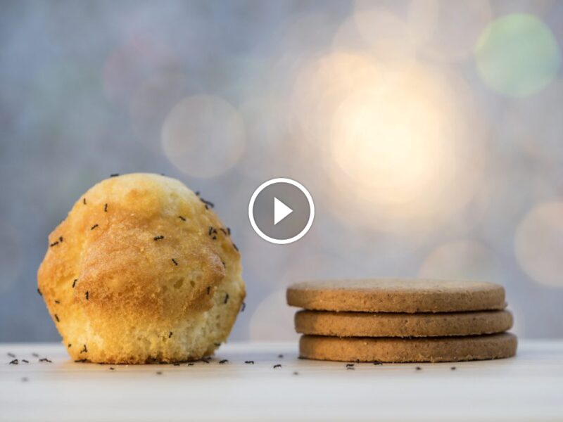 المستقبل الاقتصادي: بناء سوق يعتمد على ضمان رضا العملاء