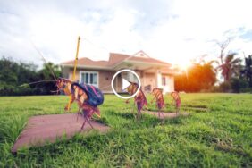 سياسة استرداد الرسوم: التزام بالتميز ورضا العميل التام