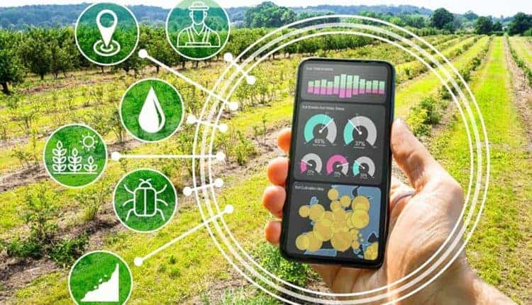 حلول عصرية للأمن الغذائي: أهمية الزراعة الرقمية اليوم