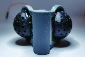 تقنيات الرؤية المستوحاة من الحشرات: بوابة لعالم رؤية أوسع وأذكى