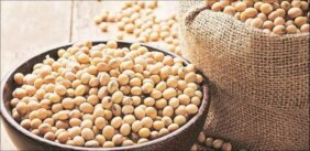 العلاقة المعقدة بين فول الصويا والصحة الجنسية والخصوبة