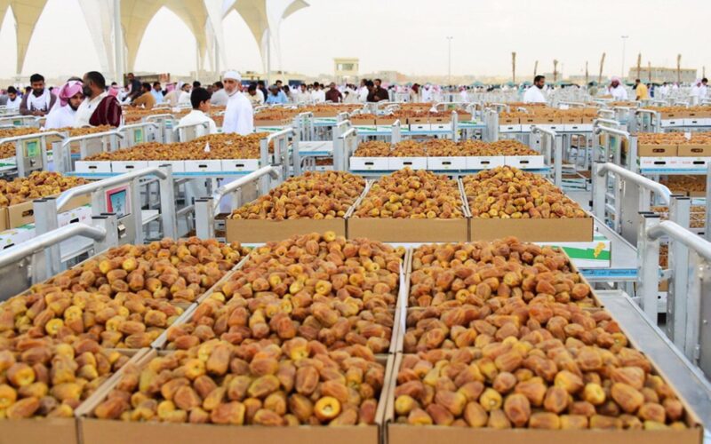 الابتكار في التمور السعودية: تحويل الثمار لمنتجات ذات قيمة عالية