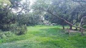 تجربة لا تُنسى في منتزه المسقي في عسير: دليلك الكامل