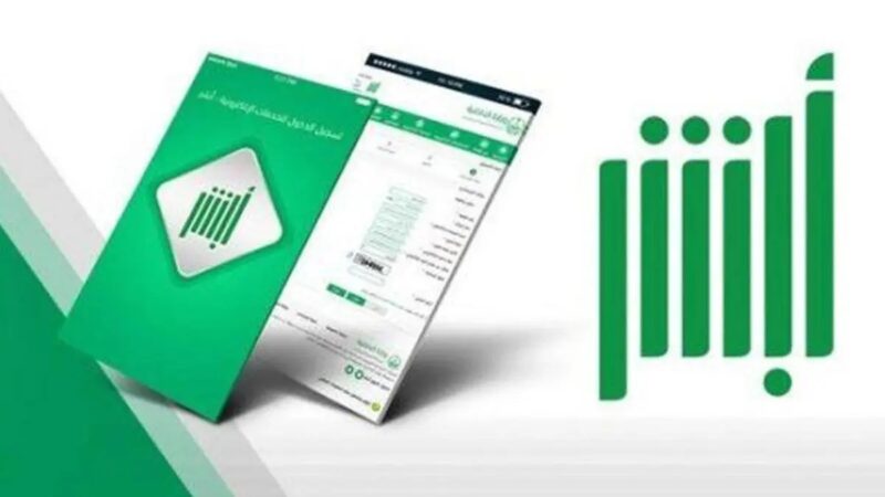 الكفاءة والابتكار: قصة نجاح منصة أبشر في المملكة