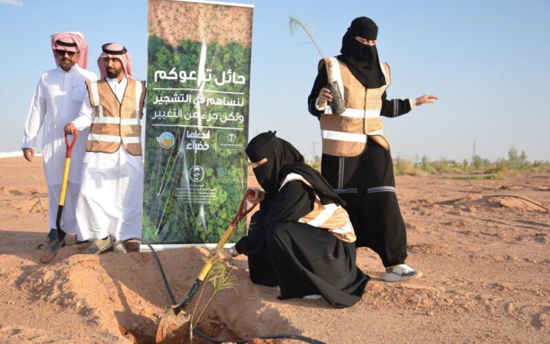 الأمن المائي في السعودية: أهمية الاستعداد للجفاف لمواجهة التحديات